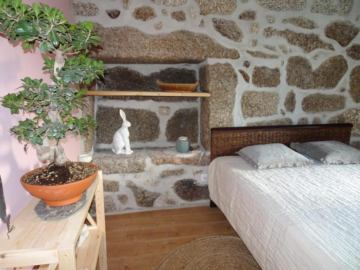 特拉什杜博鲁A Casa Com 2 Pereiras住宿加早餐旅馆 外观 照片